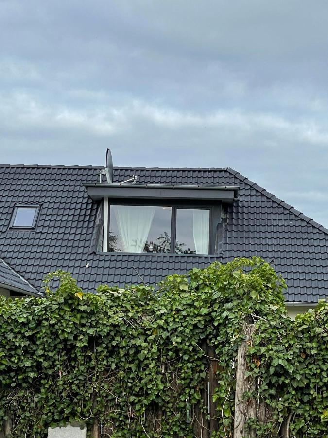 Uhse Wohlfuehloase Lejlighed Heide  Eksteriør billede